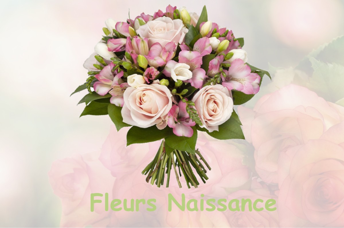 fleurs naissance JOUY-LE-POTIER