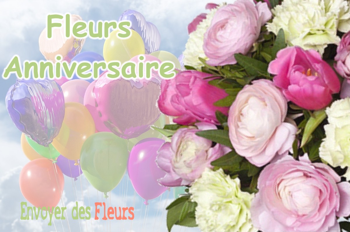 lIVRAISON FLEURS ANNIVERSAIRE à JOUY-LE-POTIER