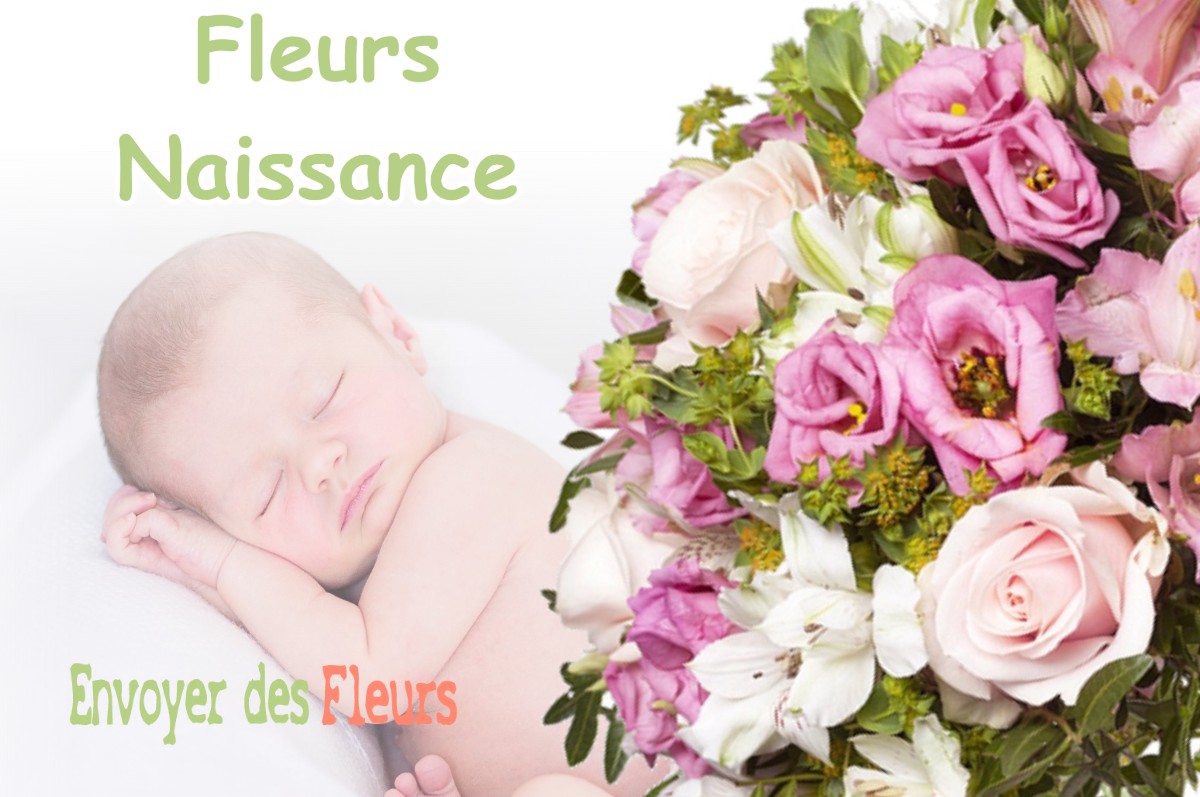 lIVRAISON FLEURS NAISSANCE à JOUY-LE-POTIER